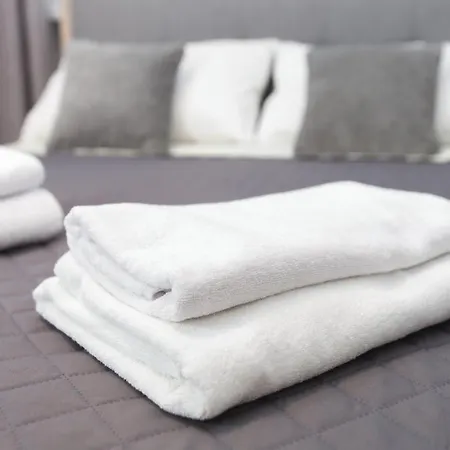 U Jankiego Apartamento *