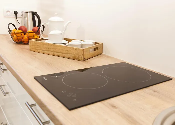 U Jankiego Apartment *